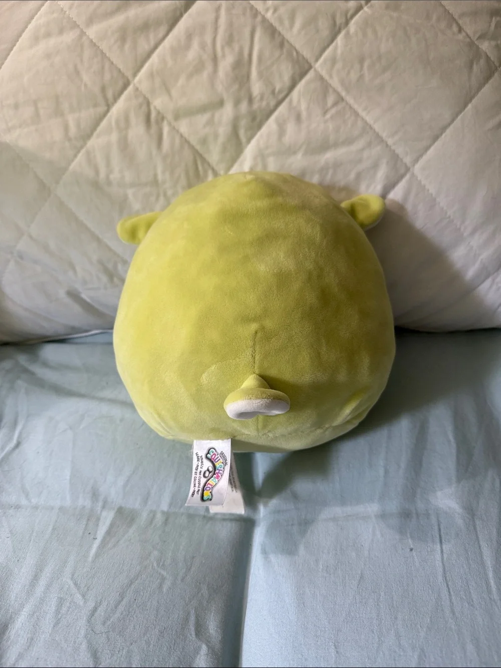 Squishmallows soft lime